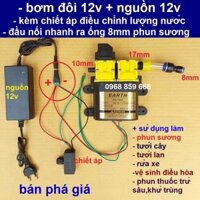 máy bơm EARTH đôi áp lực cao 12v - rửa xe ,tưới cây ,phun sương (BƠM 12V ĐÔI)