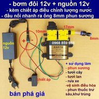 máy bơm EARTH đôi áp lực cao 12v - rửa xe ,tưới cây ,phun sương (BƠM 12V ĐÔI)