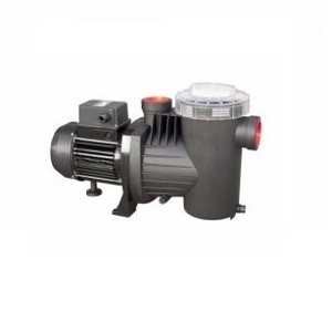 Máy bơm hồ bơi Ebara SWT 300 - 2.2kW