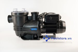 Máy bơm hồ bơi Waterco Supatuf 100 - 1HP