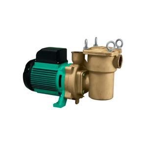 Máy bơm hồ bơi Wilo PUF-750E 0.75KW