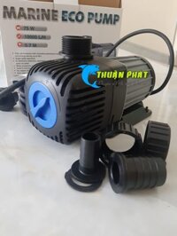 MÁY BƠM HỒ CÁ KOI JECOD DT-12000 | BƠM BỂ CÁ TIỂU CẢNH