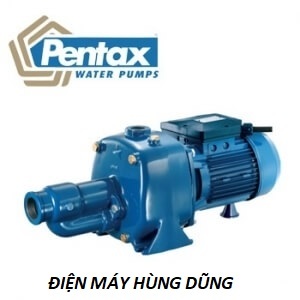 Máy Bơm Họng Súng Pentax CAB 300