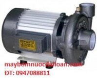 Máy bơm hút nước giếng sâu Superpum 1HP
