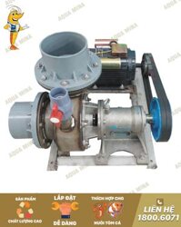 Máy bơm Inox 304 luppe 168