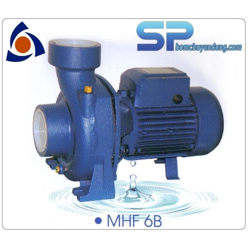 Máy bơm lưu lượng Purity MHF 6A 3HP