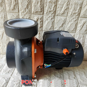 Máy bơm lưu lượng tưới tiêu Lepono ACM110B4 - 1.5HP