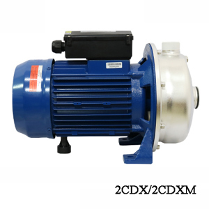 Máy bơm ly tâm 1 tầng cánh Ebara 2CDX 120/20 2HP 380V
