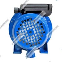 Máy bơm ly tâm 1 tầng cánh Ebara CDXM 90/10 (0.75 kw)