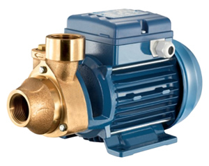 Máy bơm ly tâm dân dụng Pentax PM45 0.5HP - đầu gang