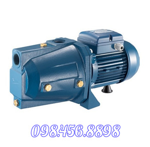 Máy bơm ly tâm dân dụng Pentax CAMT 200 2HP