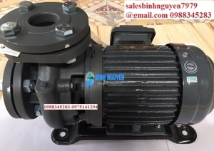 Máy bơm ly tâm dạng xoáy đầu gang TECO HVP380-13.7-20