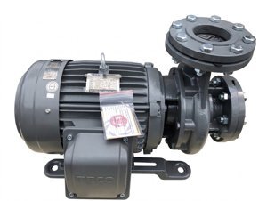Máy bơm ly tâm đầu gang 2 Pole TECO G325-80-2P-25HP