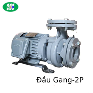 Máy bơm ly tâm đầu gang TECO G350-80-2P-50HP 2 POLE