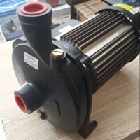 Máy Bơm Ly Tâm Detax CMA 150 ( 1.1kw)