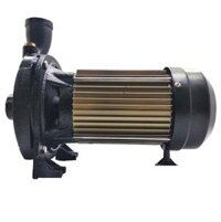 Máy bơm ly tâm Detax CMA 150 (1.1W)