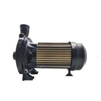 Máy bơm ly tâm Detax CMA 150 (1.1KW)
