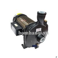 Máy bơm ly tâm Detax CMA 150 (1.1W)
