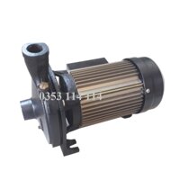 Máy bơm ly tâm Detax CMA 150 (1.1W)