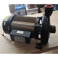 Máy bơm ly tâm Detax CMA 100(750w)- Detax CMA 150( 1,1KW)
