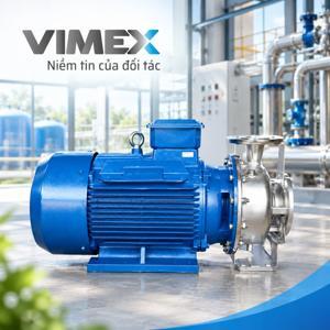Máy bơm ly tâm Ebara 3M 80-125/5.5 - trục ngang, 7.5HP