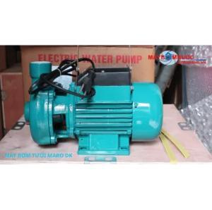 Máy bơm ly tâm gia đình Pumpman 2DK-20