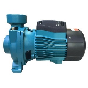 Máy bơm ly tâm lưu lượng Lepono ACm 150B2 - 1.5kW