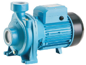 Máy bơm ly tâm lưu lượng lớn Lepono ACm 300B4 - 3kW