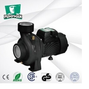 Máy bơm ly tâm lưu lượng nước lớn Pumpman THF5A