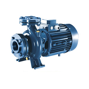 Máy bơm ly tâm Pentax CM 100-160B (CM100-160B) - trục ngang, 40HP