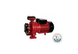 Máy bơm ly tâm Swirls TFM32/160C 1.5KW 2 HP