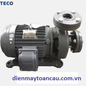 Máy bơm ly tâm Teco đầu gang 4 cực G330-150-4P-30HP