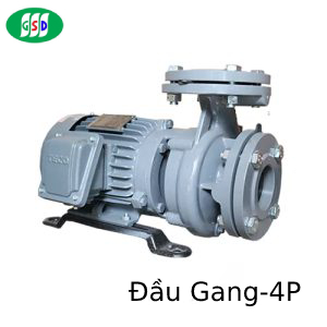Máy bơm ly tâm Teco đầu gang 4 cực G325-150-4P-25HP