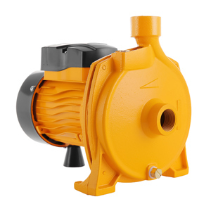 Máy bơm ly tâm Tolsen 79975 750W