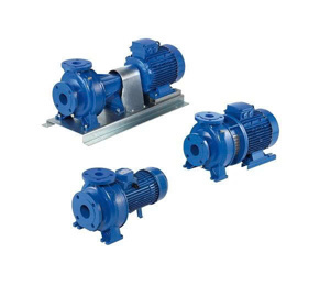 Máy bơm ly tâm trục ngang đầu gang cánh inox Ebara 3D 40-200/5.5 7.5HP