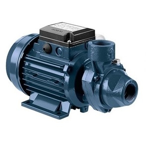 Máy bơm ly tâm trục ngang đầu gang Ebara PRA 100M 1HP