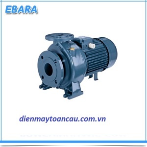 Máy bơm ly tâm trục ngang đầu gang EBARA 3D  65-200/18.5  25HP