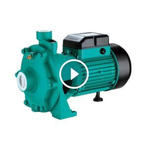 Máy bơm ly tâm trục ngang đầu gang Shimge 2SGPm25/140 1.5HP