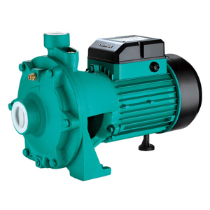 Máy bơm ly tâm trục ngang đầu gang Shimge 2SGPm25/140 1.5HP