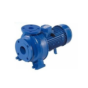 Máy bơm ly tâm trục ngang đầu gang EBARA 3D  65-200/18.5  25HP