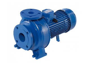 Máy bơm ly tâm trục ngang Ebara 3D 32-200/3.0 - 4HP