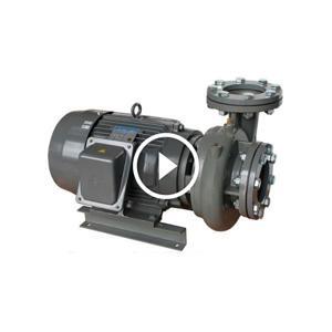 Máy bơm ly tâm trục ngang EVERGUSH CP-2.37 1/2HP