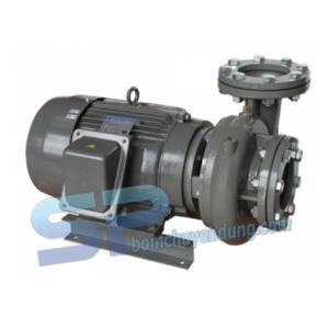 Máy bơm ly tâm trục ngang EVERGUSH CP-21.5 2HP