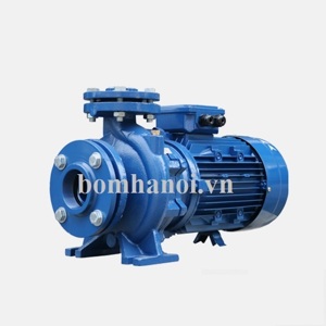 Máy bơm ly tâm trục ngang Howaki CM 50-160A