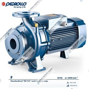 Máy bơm ly tâm trục ngang Pedrollo F 40/160B - 4HP