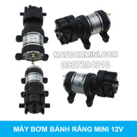 Máy bơm mini bánh răng áp lực 12V 30W 4L BR-550