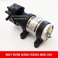 Máy bơm mini bánh răng áp lực 24V 15W 2L BR-540