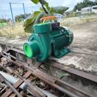 Máy bơm nước 1.5hp ( d1042 ) Lingxiao 2DK18 nhập khẩu Trung Quốc, bảo hành 12 tháng.