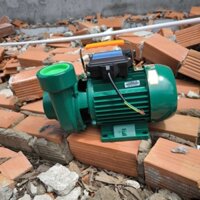 Máy bơm nước 1.5hp ( d1072 ) Lingxiao 2DK18 nhập khẩu Trung Quốc, bảo hành 12 tháng