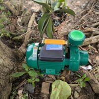 Máy bơm nước 1.5hp ( d1112 ) Lingxiao 2DK18 nhập khẩu Trung Quốc, bảo hành 12 tháng.